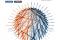 Peter Sullivan / Best of Show. <b>Categoría</b>: Cultura. <b>Medio</b>: Svenska Dagbladet. <b>Título</b>: How did Europe vote in last year Eurovision Song Contest. 
